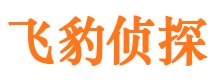 新民飞豹私家侦探公司